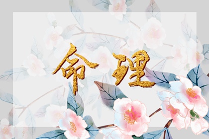 农历日历2026年 中华万年历黄历日历 农历2026年日历表查询